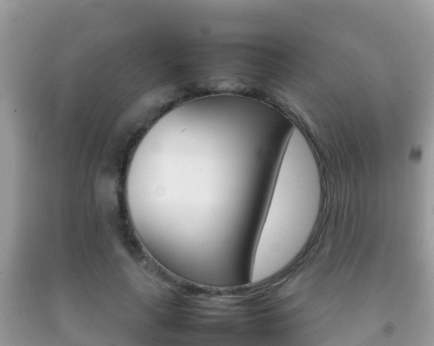 X0000092220643200709140922