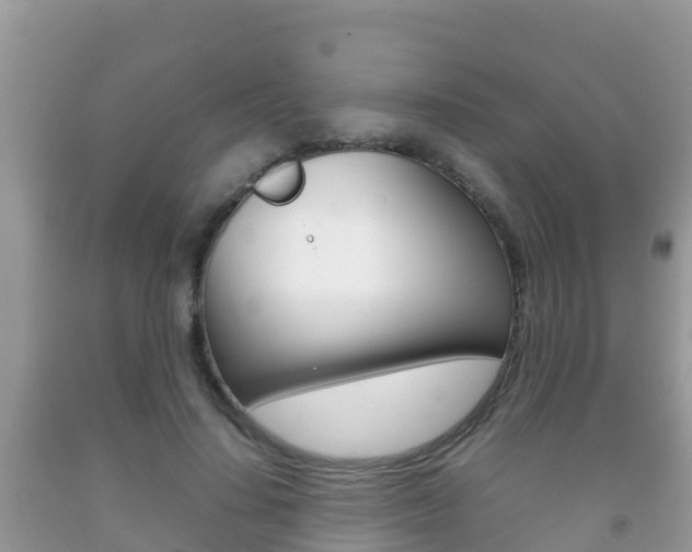 X0000092220644200709140922