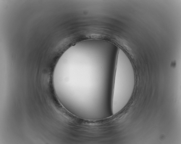 X0000092220645200709140922