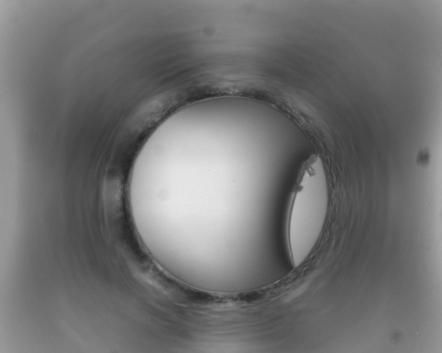 X0000092220646200709140922