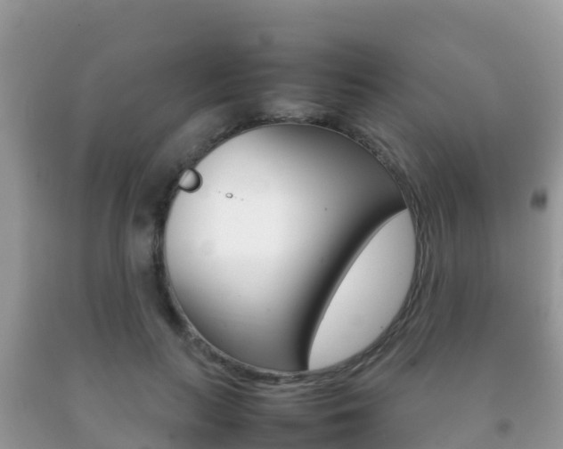 X0000092220647200709140922