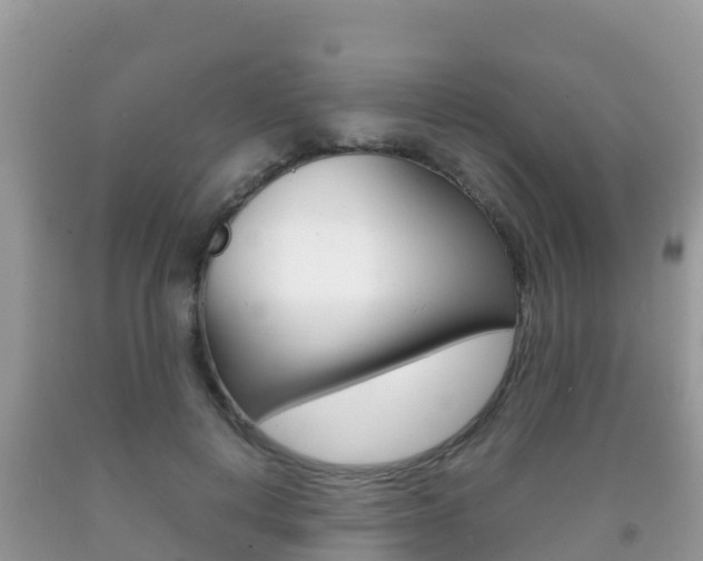 X0000092220648200709140922