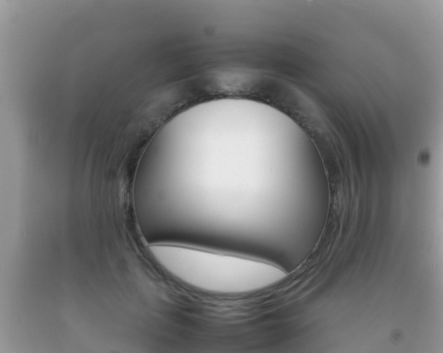 X0000092220651200709140922