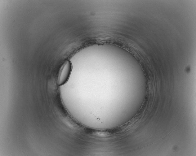 X0000092220654200709140922
