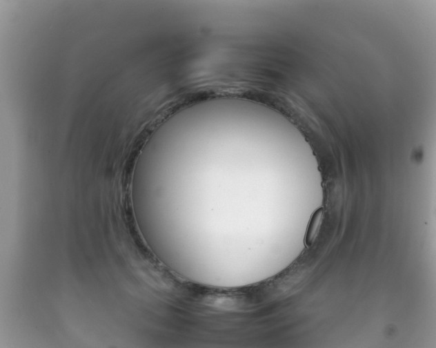 X0000092220655200709140923