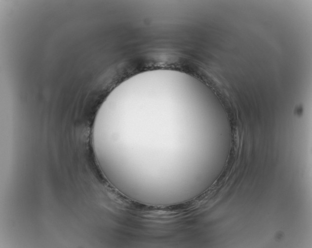 X0000092220657200709140923