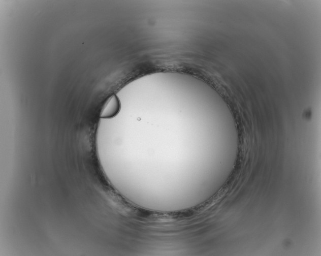 X0000092220658200709140923