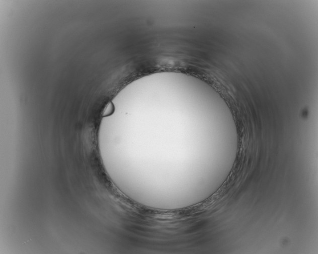 X0000092220659200709140923