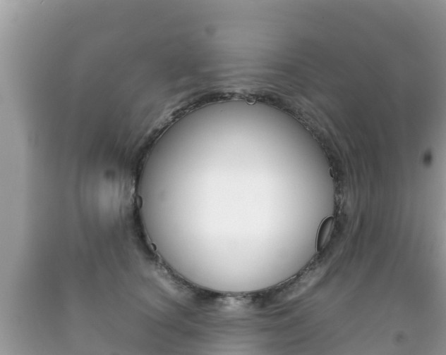 X0000092220660200709140923