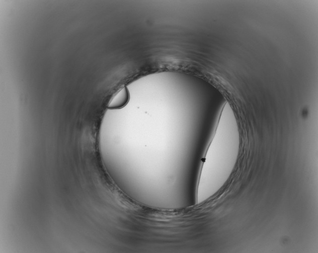 X0000092220661200709140923