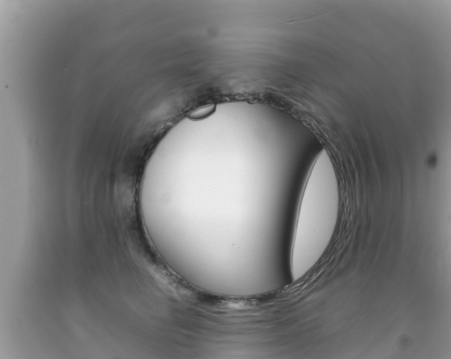 X0000092220662200709140923