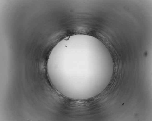 X0000092220663200709140923