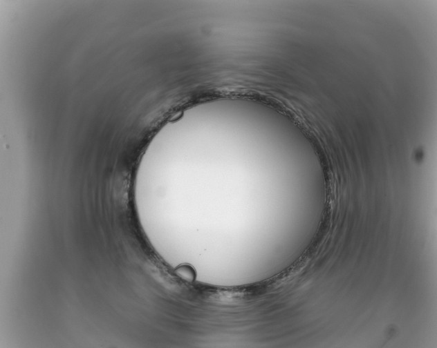 X0000092220664200709140923