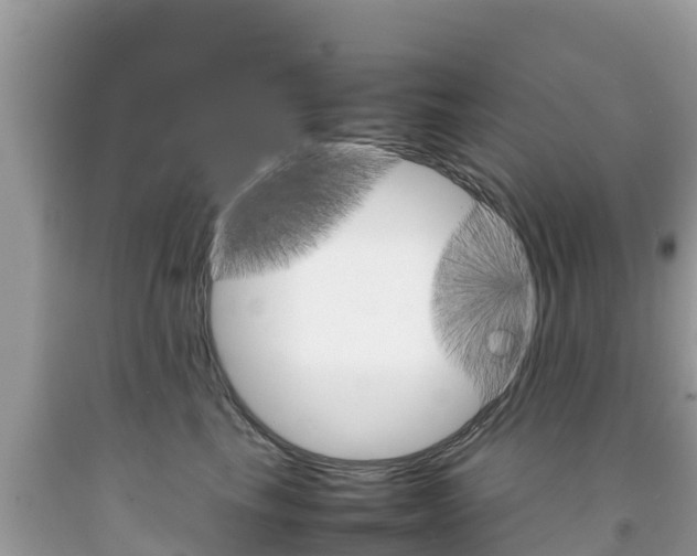 X0000092220665200709140923