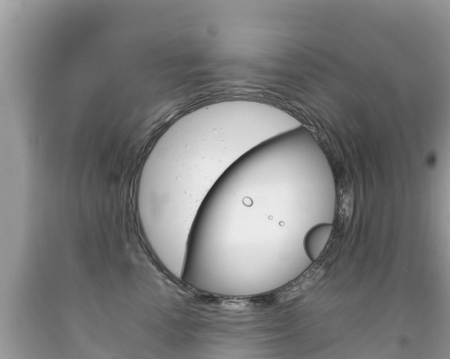 X0000092220666200709140923
