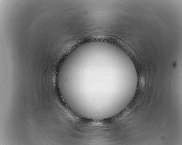 X0000092220668200709140923