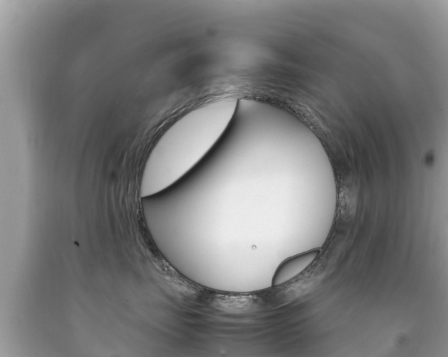 X0000092220671200709140923