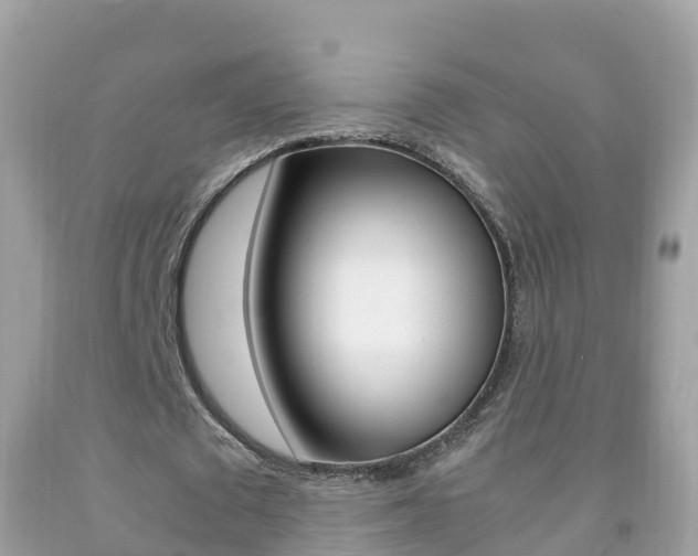 X0000092220673200709140922