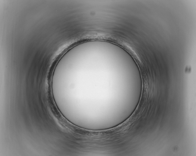 X0000092220674200709140922