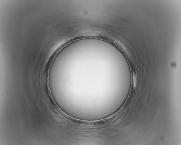 X0000092220675200709140922