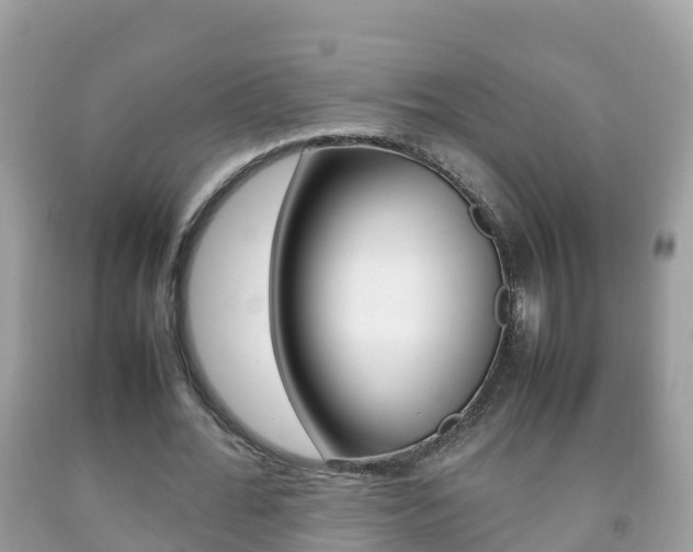 X0000092220676200709140922