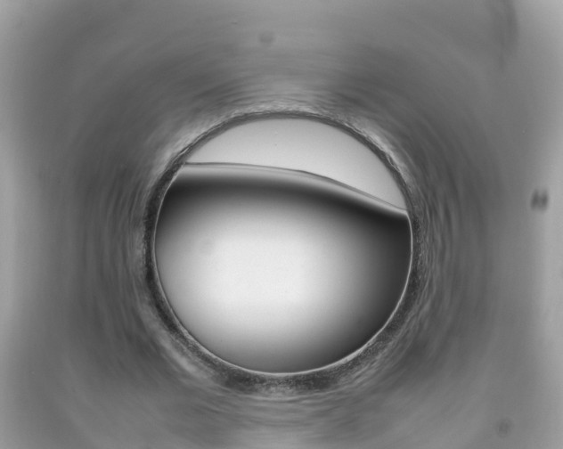 X0000092220677200709140922