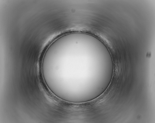 X0000092220678200709140922