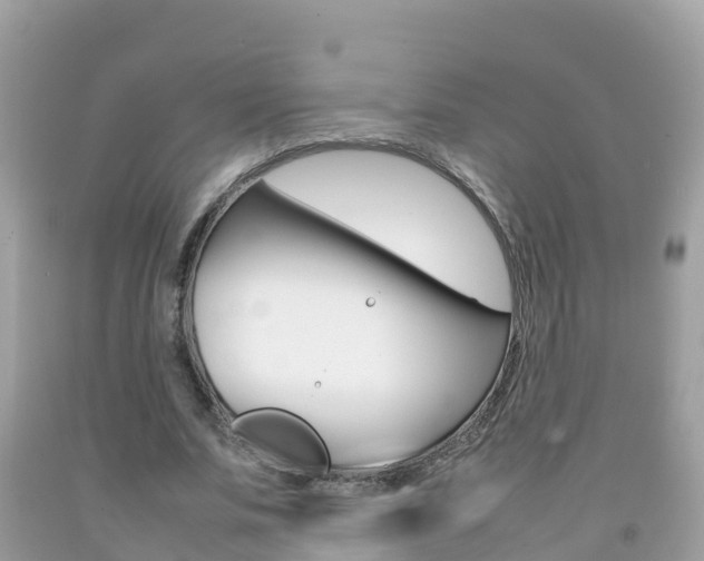 X0000092220679200709140922