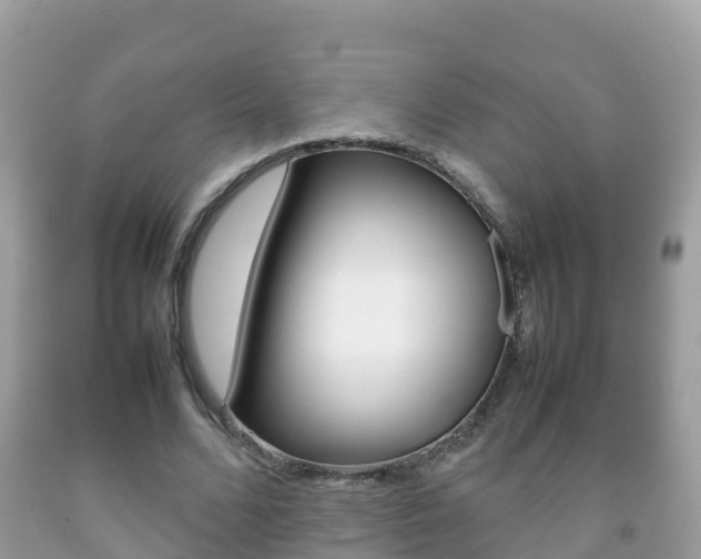 X0000092220680200709140922