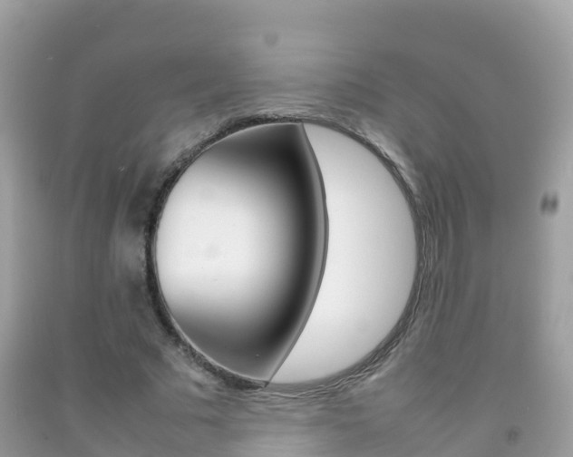 X0000092220681200709140922