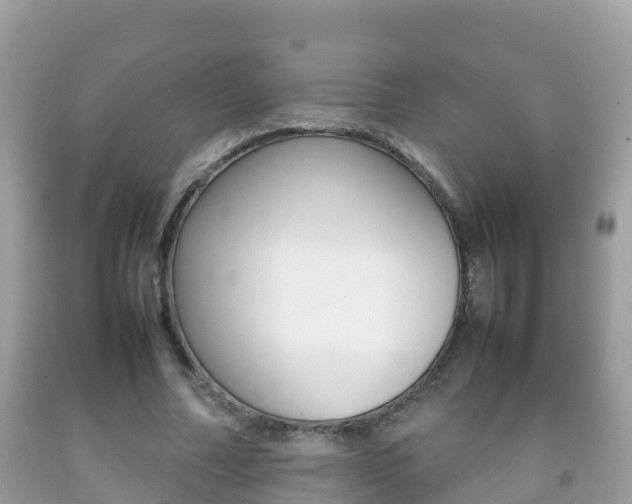 X0000092220682200709140922