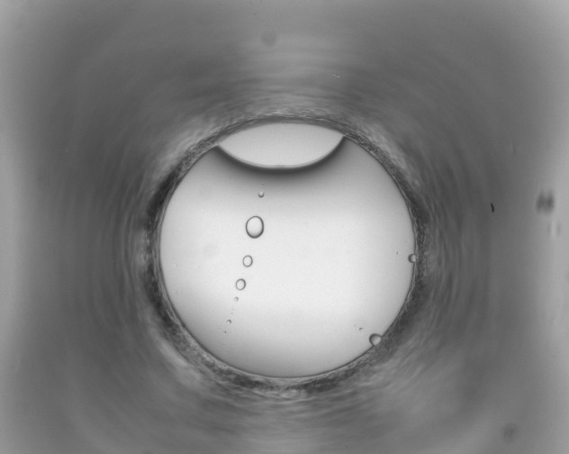 X0000092220683200709140922