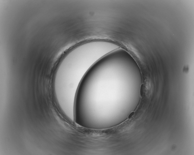X0000092220684200709140922