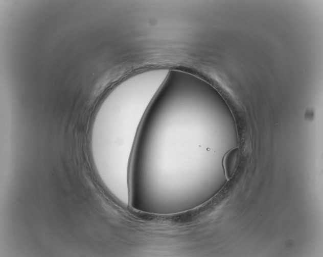 X0000092220685200709140922