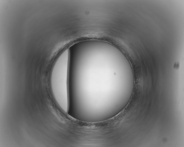 X0000092220688200709140922