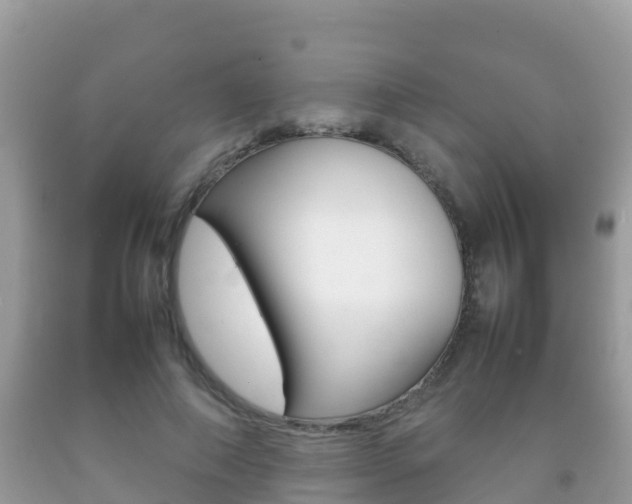 X0000092220690200709140922