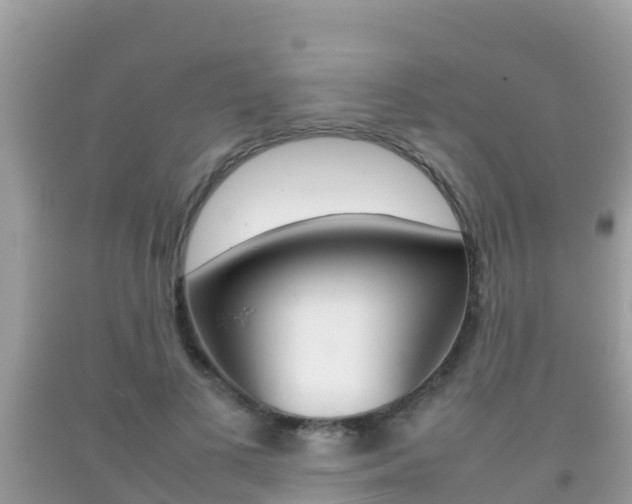X0000092220693200709140922