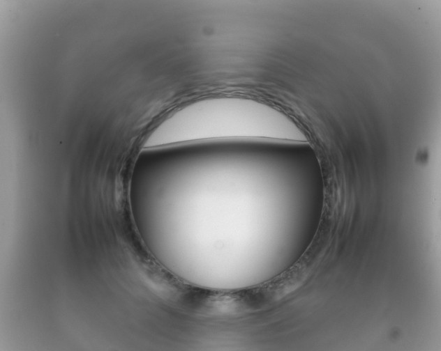 X0000092220704200709140922