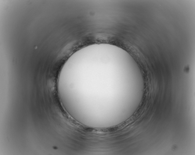 X0000092220706200709140922