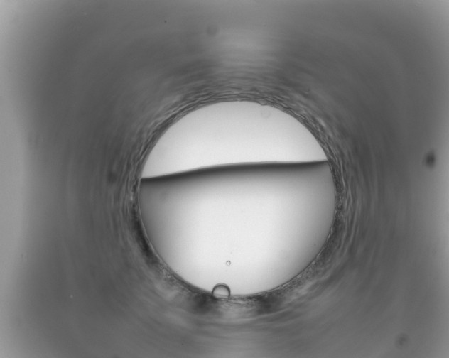 X0000092220707200709140922