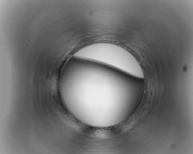 X0000092220708200709140922