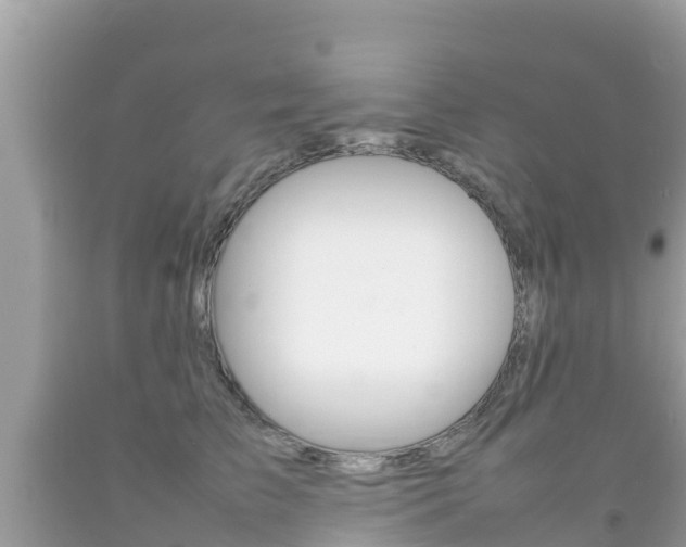 X0000092220709200709140921