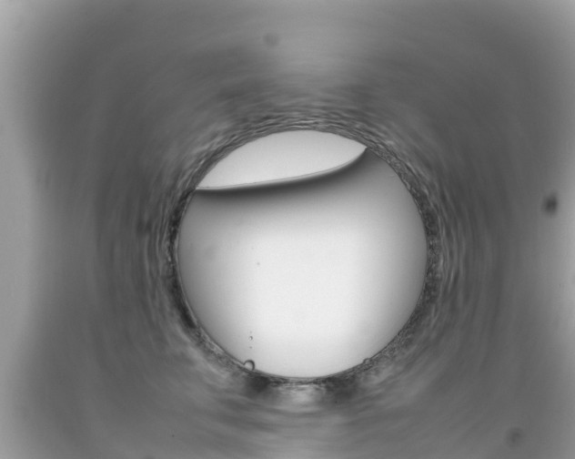 X0000092220711200709140921