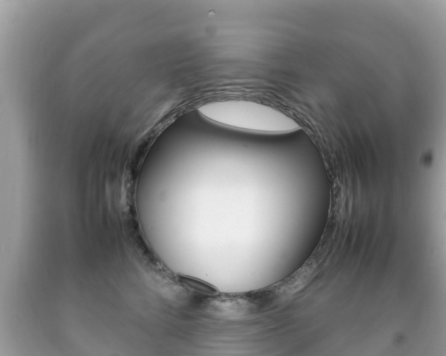 X0000092220712200709140921