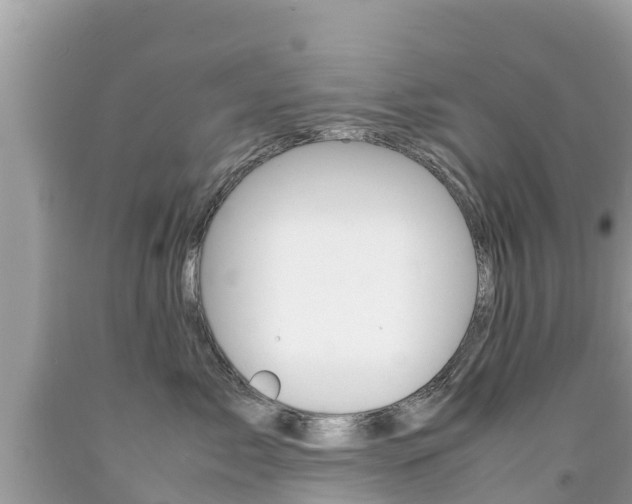 X0000092220717200709140921