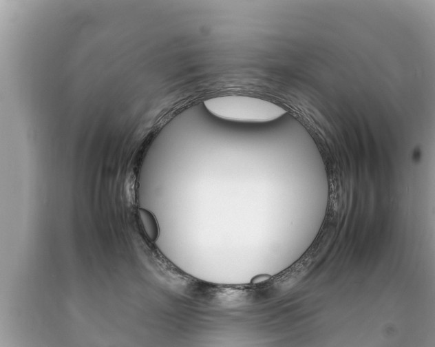 X0000092220718200709140921