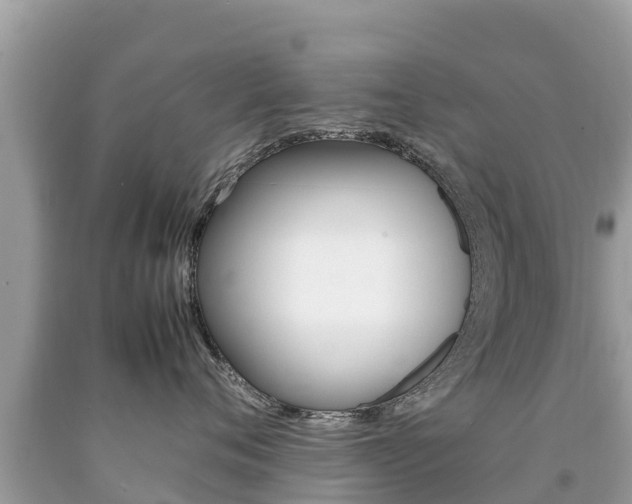 X0000092220720200709140921