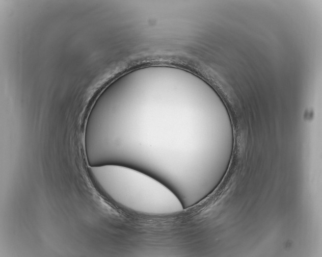 X0000092220721200709140921