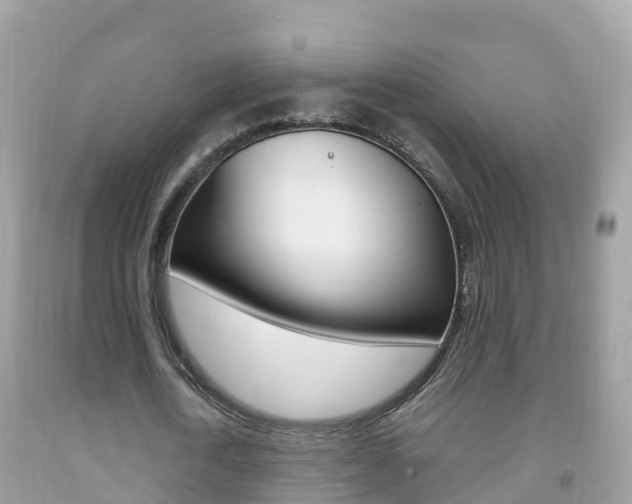 X0000092220722200709140921