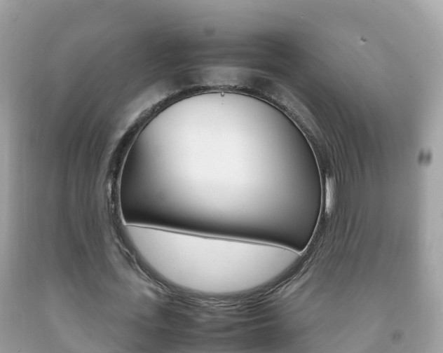 X0000092220723200709140921